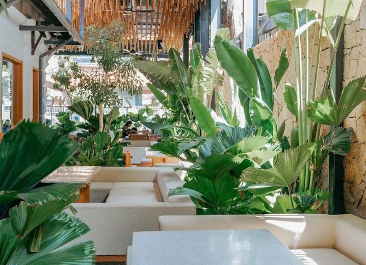 Cho Thuê Mặt Bằng 219 Nguyễn Trãi Phường Nguyễn Cư Trinh Quận 1
