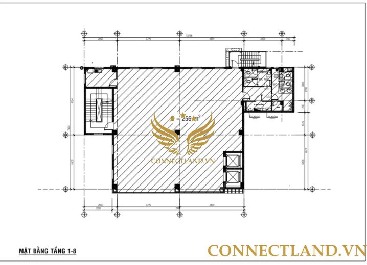 Cho Thuê Mặt Bằng 61-63 Bà Hom Phường 13 Quận 6