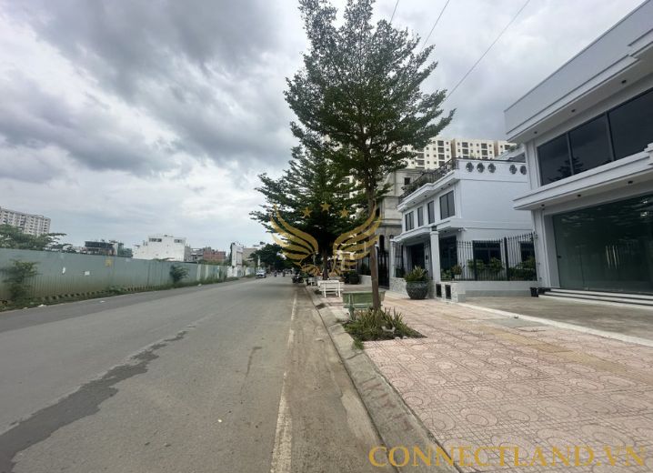 Cho Thuê Mặt Bằng Mặt Tiền 22-24-26 Bạch Đồng Ôn Phường Bình An Quận 2