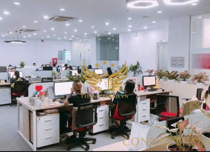 Cho Thuê Mặt Bằng 52-54-56-58 Đường số 26 Phường 11 Quận 6