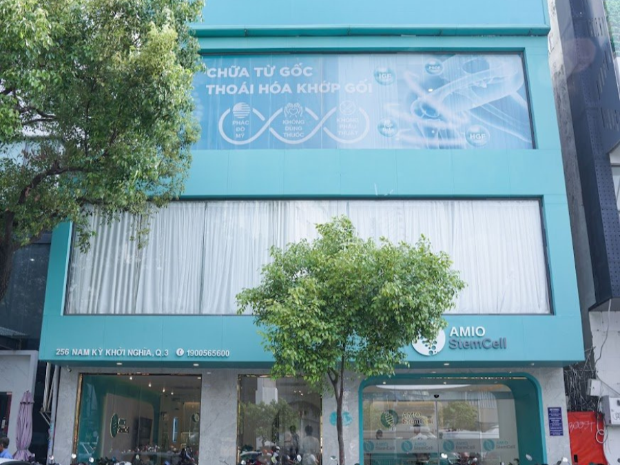 Cho Thuê Mặt Bằng Mặt Tiền số 256-256B Đường Nam Kỳ Khởi Nghĩa, Phường 8, Quận 3, DT: 11×16.8m, 1 trệt 1 lửng 3 lầu ST, DTSD:  742 m2