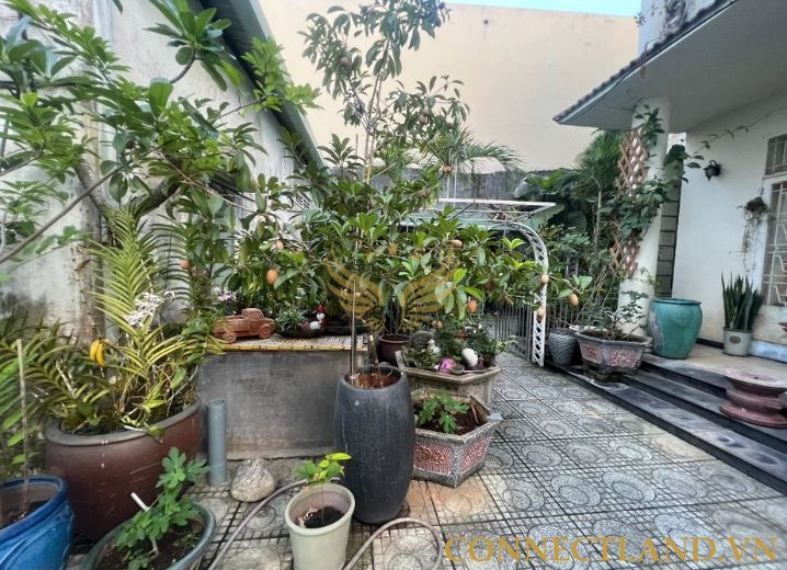 Cho Thuê Mặt Bằng 142A-142 Lê Văn Việt Phường Hiệp Phú Quận 9