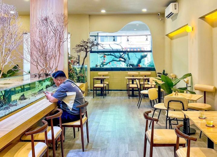 Cho Thuê Mặt Bằng 513A Nguyễn Kiệm Phường 9 Quận Phú Nhuận