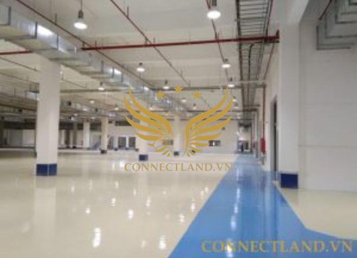 Cho thuê tòa nhà 27B-29 Đường 19 Phường Tân Thuận Đông Quận 7