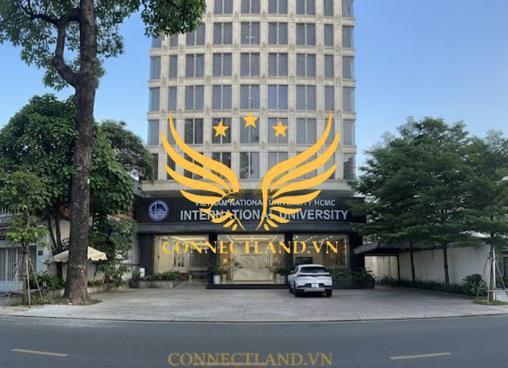 Cho Thuê Tòa Nhà 1085 Phạm Thế Hiển Phường 5 Quận 8