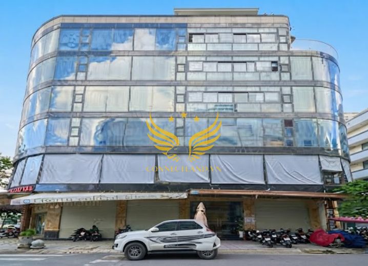 Cho Thuê Toà Nhà 15C Nguyễn Văn Cự Phường Tân Tạo Quận Bình Tân