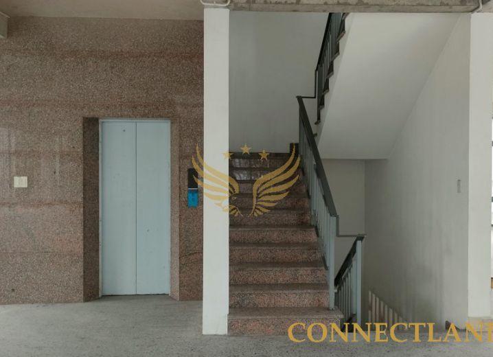Cho Thuê Mặt Bằng 228-226-224-222 Đường 56 Phường Cát Lái Quận 2