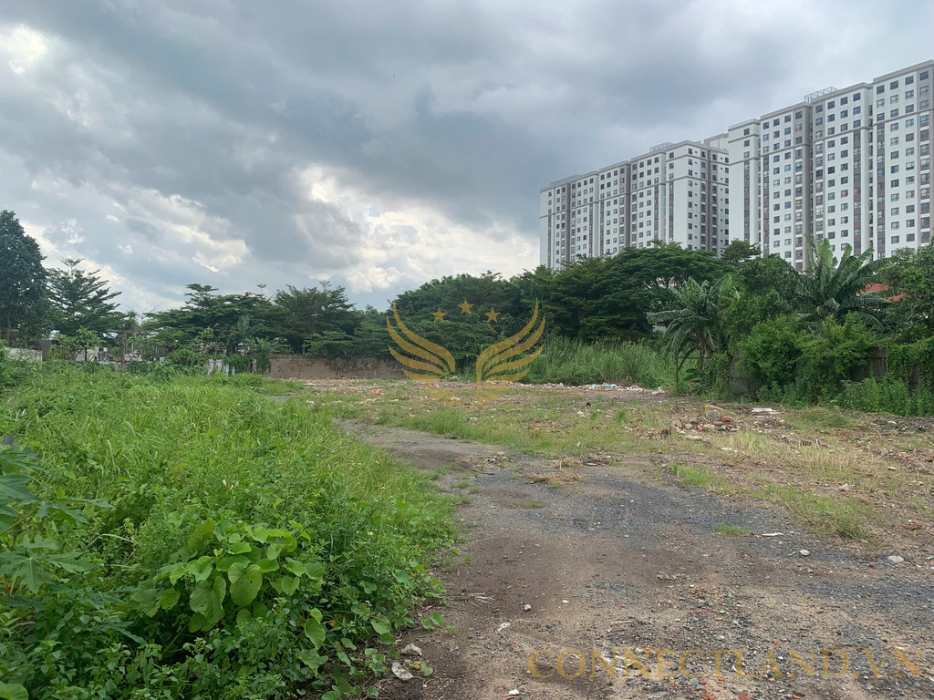 Bán ĐẤT Mặt Tiền Số 1076 Đường Tạ Quang Bửu, Phường 5, Quận 8, DT: 40x100m2. đất trống, DT đất: 6.000m2