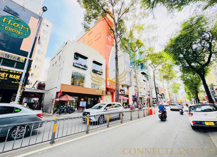 Bán Nhà 9A Tôn Thất Tùng Phường Phạm Ngũ Lão Quận 1