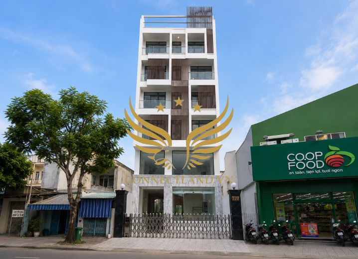 Cho Thuê Tòa Nhà 294 Trần Thị Cờ Phường Thới An Quận 12