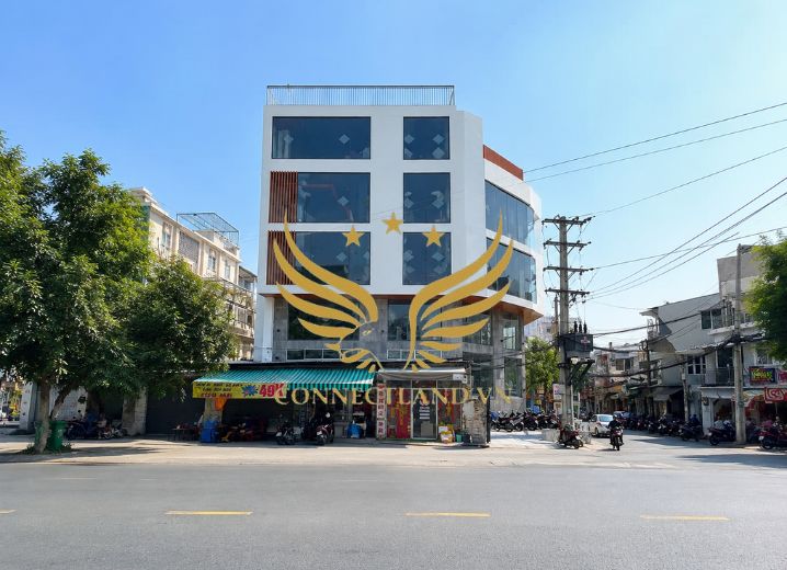 Cho Thuê Tòa Nhà 295-295A-297 Bùi Minh Trực Phường 6 Quận 8