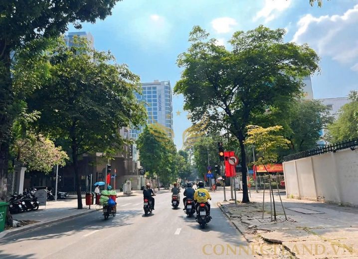 Cho Thuê Tòa Nhà 37 Nguyễn Đình Chiểu Phường Đa Kao Quận 1
