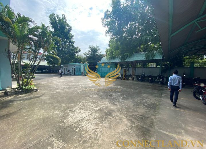 Cho Thuê Tòa Nhà 45 Dân Chủ Phường Bình Thọ Quận Thủ Đức