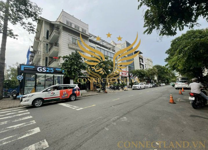 Cho Thuê Tòa Nhà 96 Lê Văn Thiêm Phường Tân Phong Quận 7