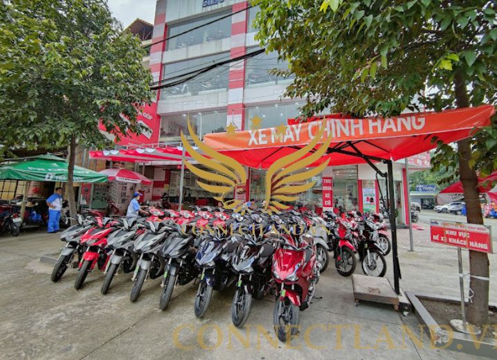 Cho Thuê Tòa Nhà A1-A2 Nguyễn Ảnh Thủ Phường Tân Chánh Hiệp Quận 12