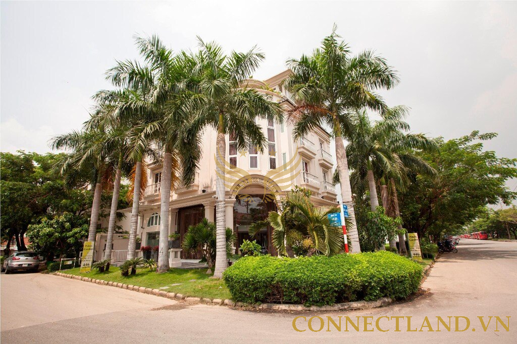 Cho Thuê Tòa Nhà Góc 2 Mặt Tiền 446-448 đường Tân Phú , phường Phú Mỹ, Quận 7, DT: 12x17m, 1 Hầm 1 Trệt 5 Lầu, DTSD 1224m2