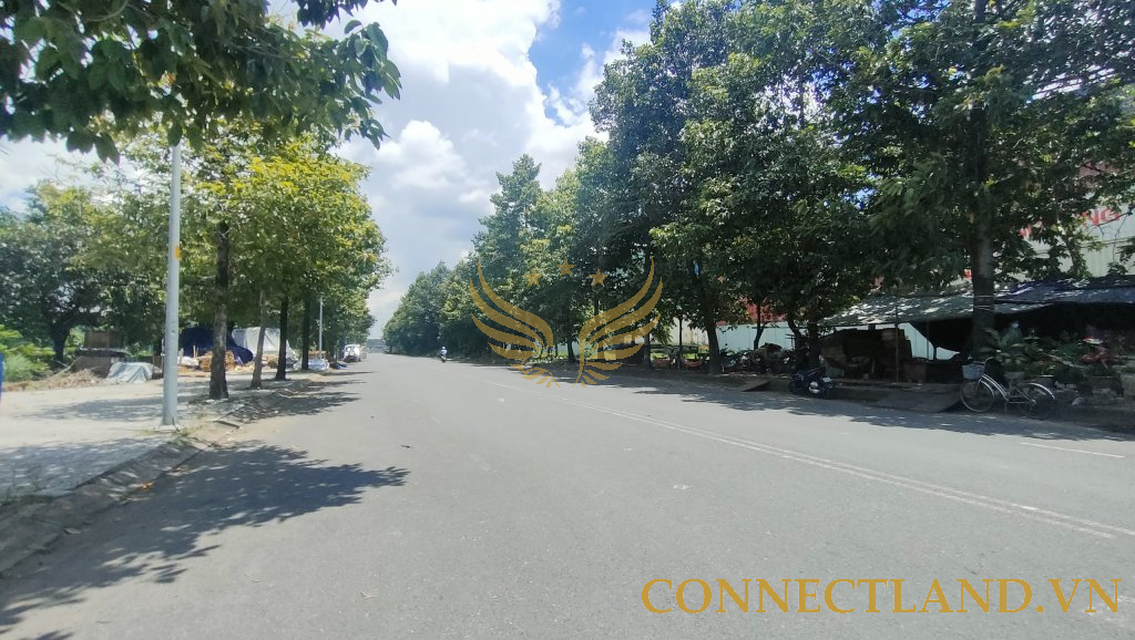 Cho Thuê Tòa Nhà GÓC 3MT số 228-226-224-222 Đường Số 56, Phường Cát Lái, Quận 2, DT: 20x24m, 1 hầm 1 trệt 2 lầu TM ST, DTSD: 1.630m2