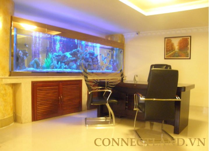 Cho Thuê Mặt Bằng 700 Trần Hưng Đạo Phường 2 Quận 5