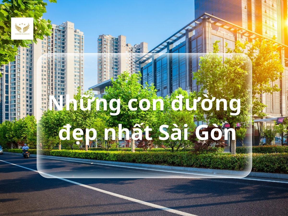 Những con đường đẹp nhất Sài Gòn
