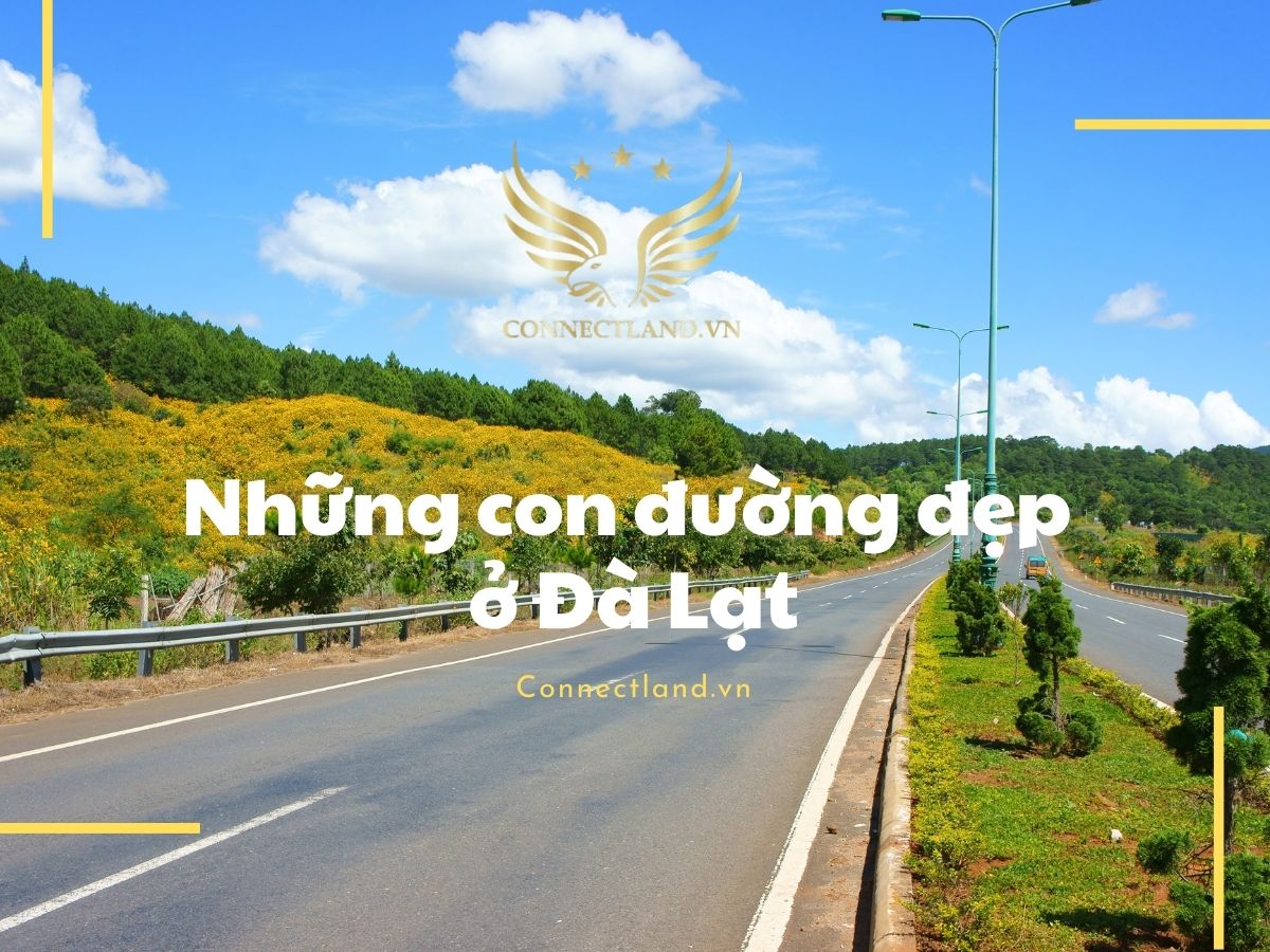 Những con đường đẹp ở Đà Lạt