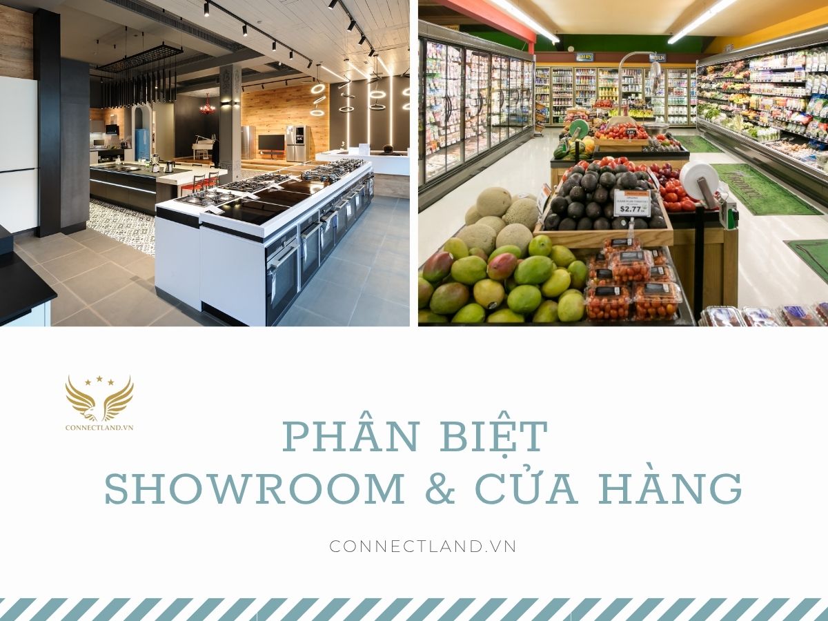 Phân biệt giữa showroom và cửa hàng