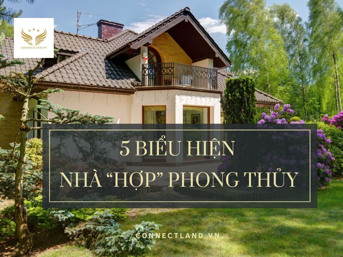 5 Biểu hiện ngôi nhà “hợp” phong thủy