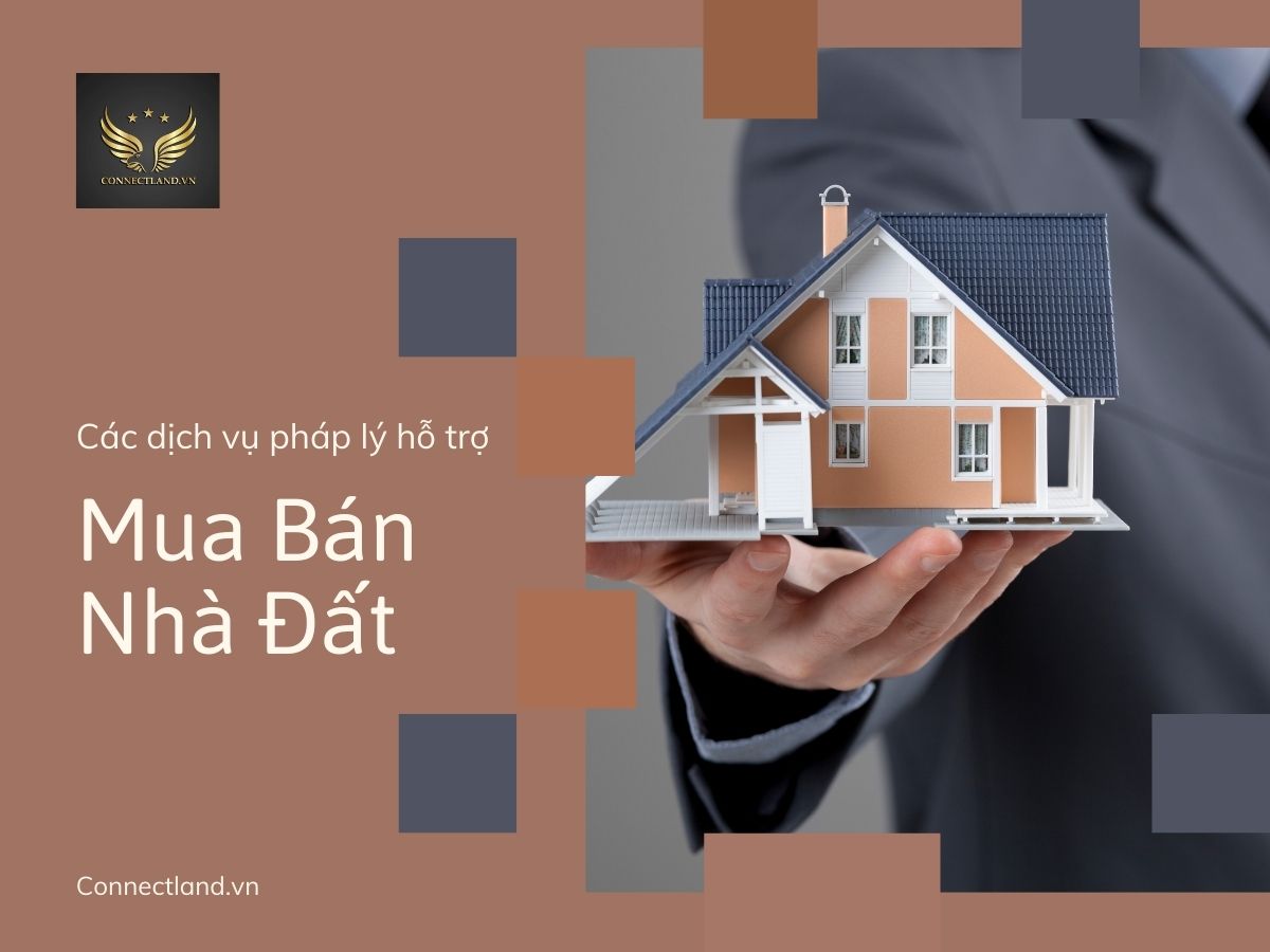 Các dịch vụ pháp lý hỗ trợ mua bán nhà đất
