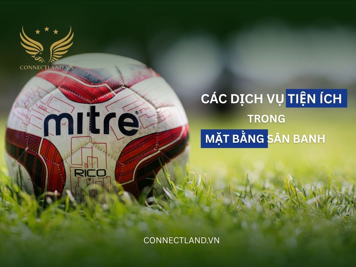Tiềm năng sinh lời từ các dịch vụ tiện ích trong mặt bằng sân banh