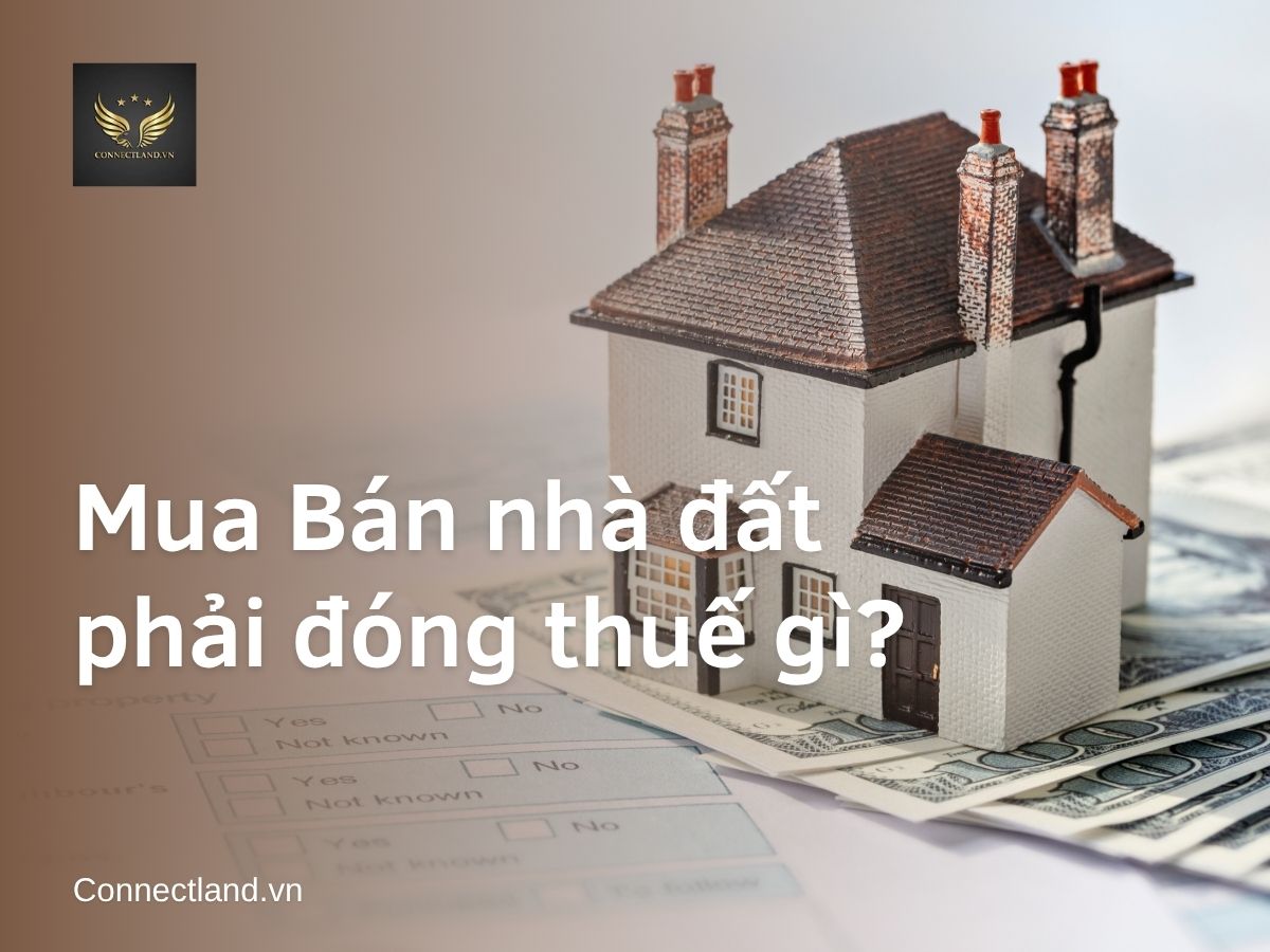 Mua bán nhà đất phải đóng thuế gì?