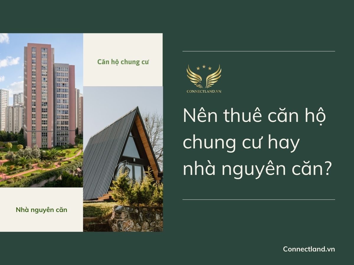 Nên thuê căn hộ chung cư hay nhà nguyên căn?