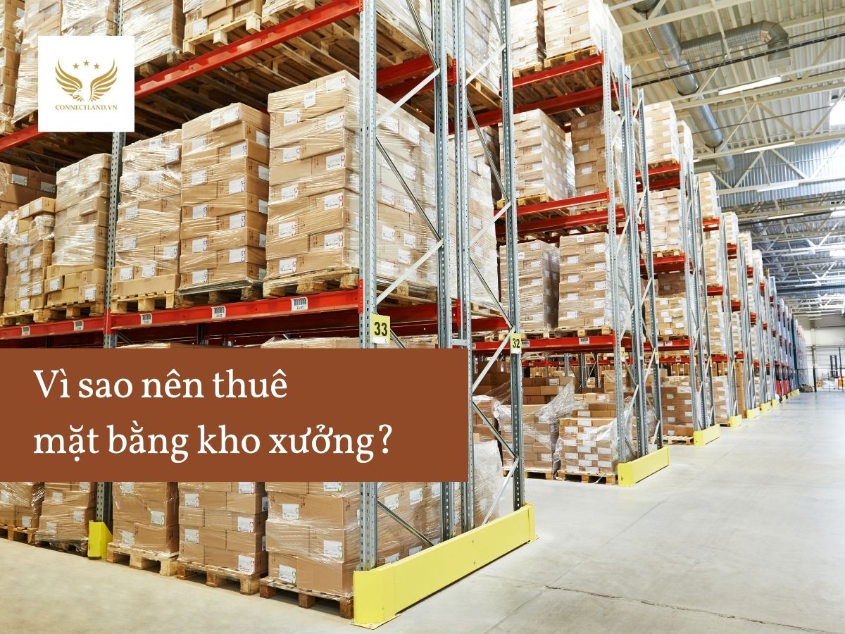 Vì sao nên thuê mặt bằng kho xưởng?