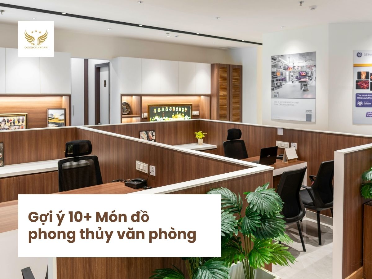 Gợi ý các món đồ phong thủy văn phòng thu hút tài lộc