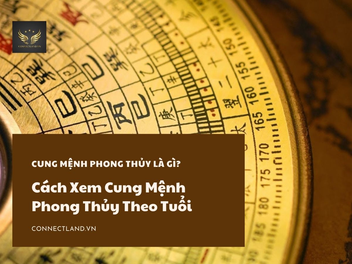 Cung mệnh phong thủy là gì? Cách tính cung mệnh phong thủy theo tuổi