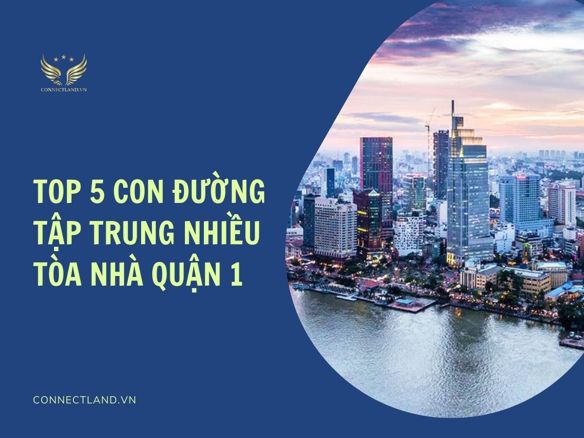 Top 5 con đường tập trung nhiều tòa nhà quận 1
