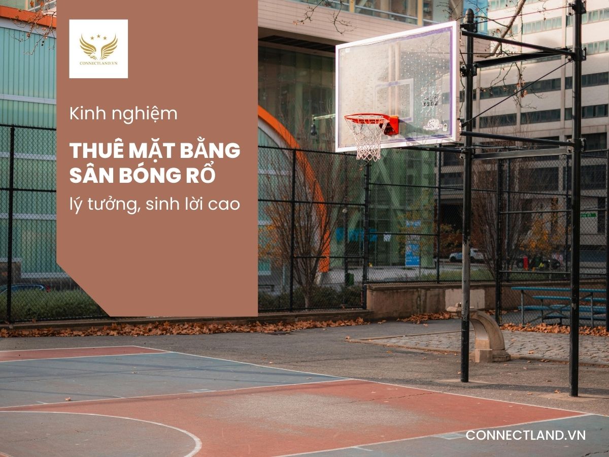 Kinh nghiệm thuê mặt bằng sân bóng rổ lý tưởng, sinh lời cao