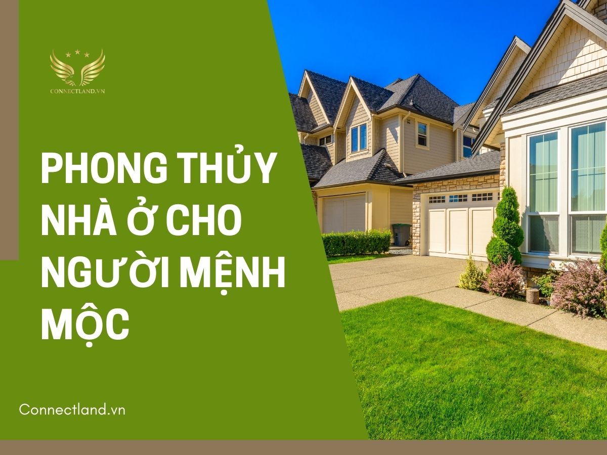 Phong thủy nhà ở cho người mệnh Mộc