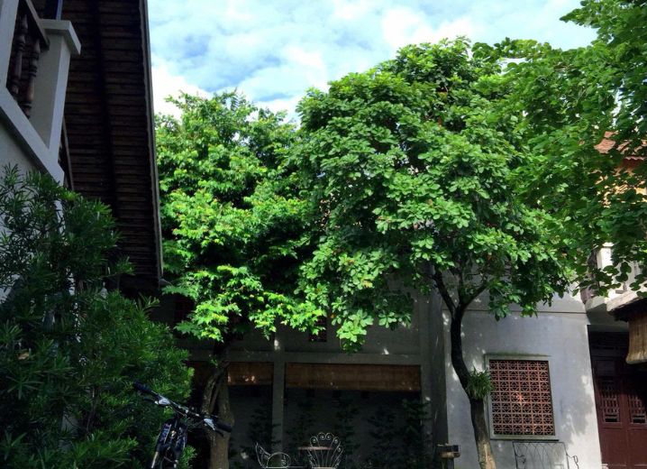 Cho Thuê Mặt Bằng 21-23 Đường Số 33 Phường An Khánh Quận 2