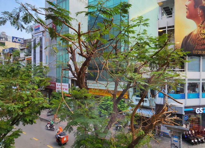 Cho Thuê Mặt Bằng GÓC 2MT 210 Nguyễn Công Trứ Phường Nguyễn Thái Bình Quận 1