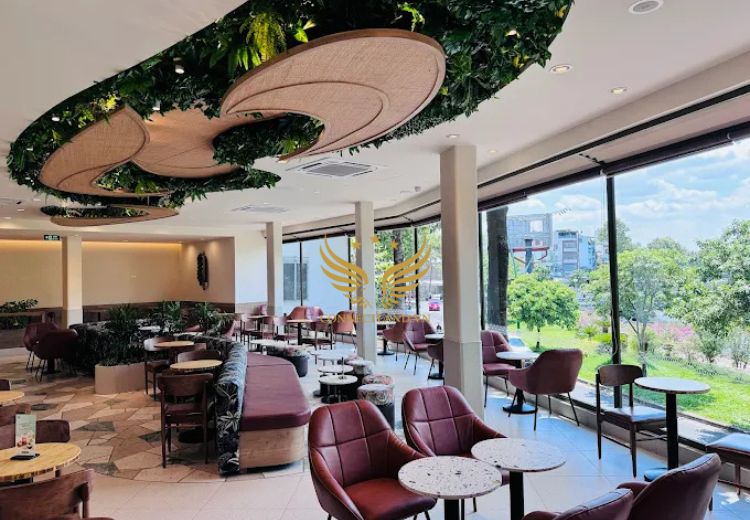 Cho Thuê Mặt Bằng 803 Hoàng Sa Phường Nhiêu Lộc