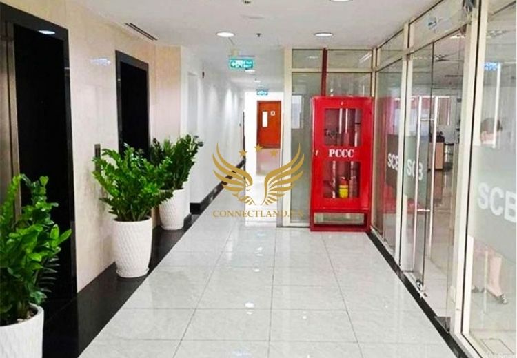 Cho Thuê Tòa Nhà 242 Cống Quỳnh Phường Bến Thành