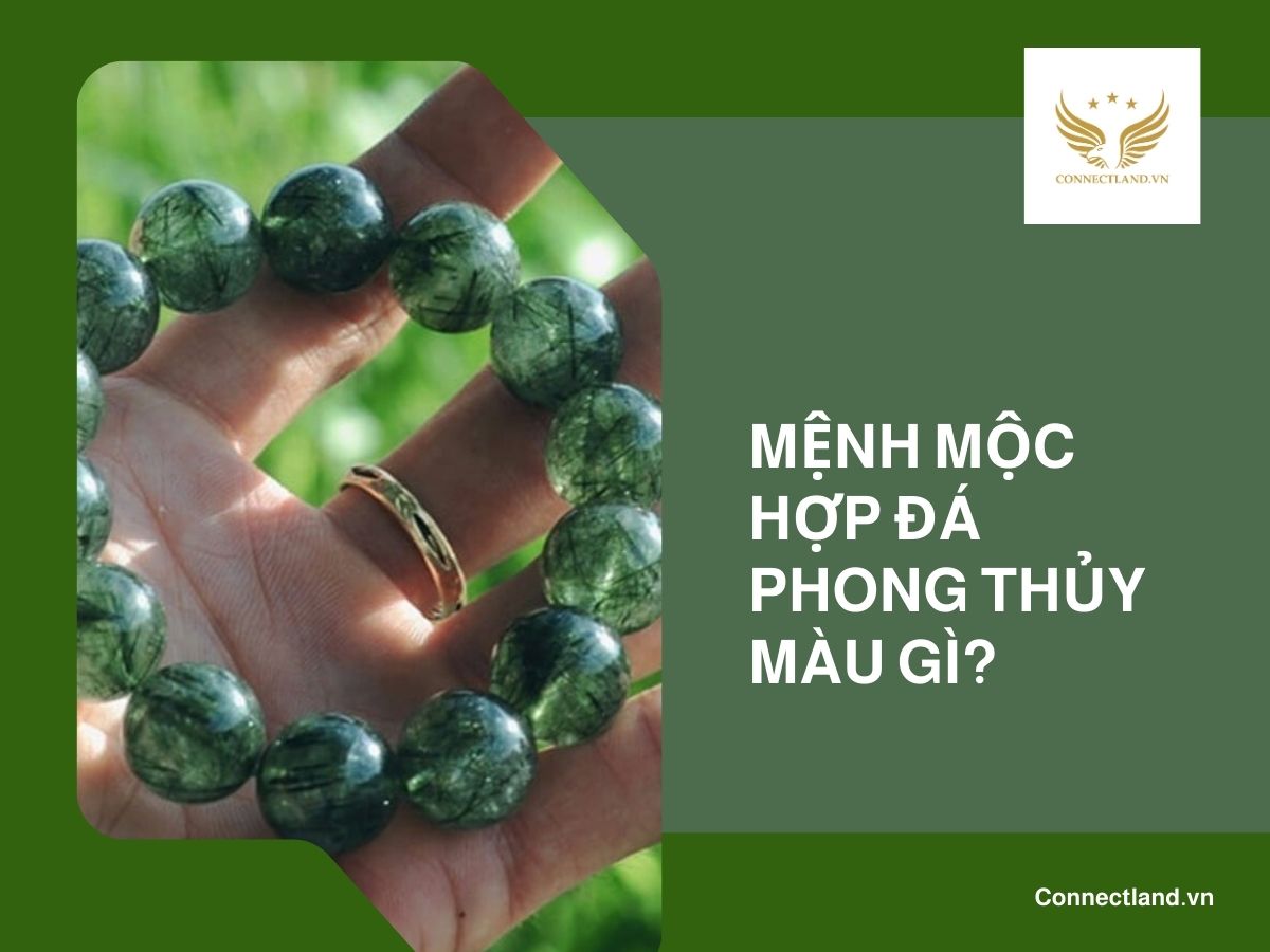 Mệnh mộc hợp đá phong thủy màu gì?