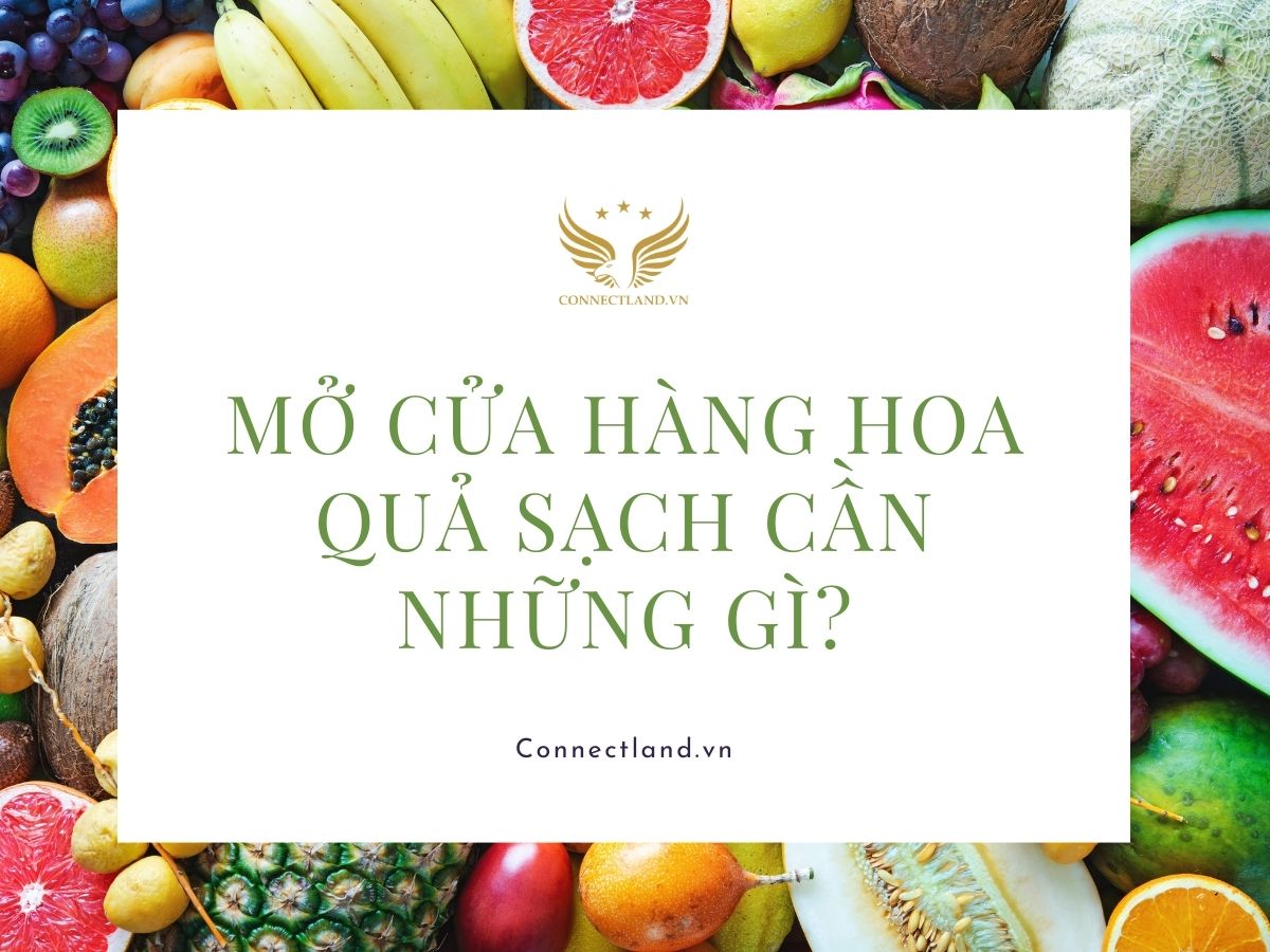 Mở cửa hàng hoa quả sạch cần những gì?