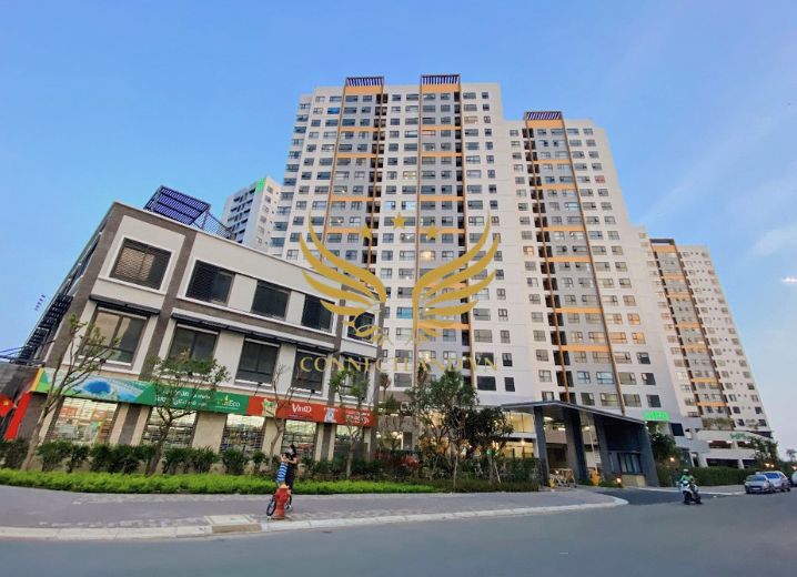 Dự Án Valora Mizuki Nguyễn Văn Linh Xã Bình Hưng Huyện Bình Chánh