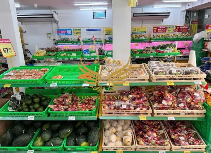 Cho Thuê Mặt Bằng 115B Trần Đình Xu Phường Nguyễn Cư Trinh Quận 1