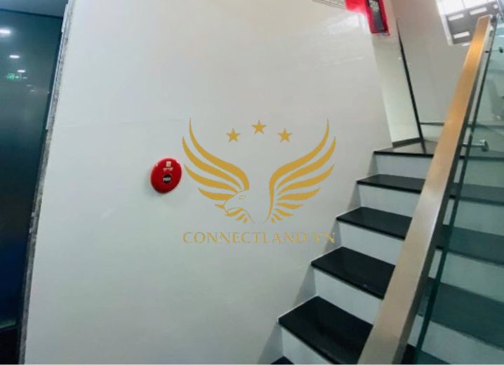 Cho Thuê Tòa Nhà 103 Đường 43 Phường Tân Quy Quận 7