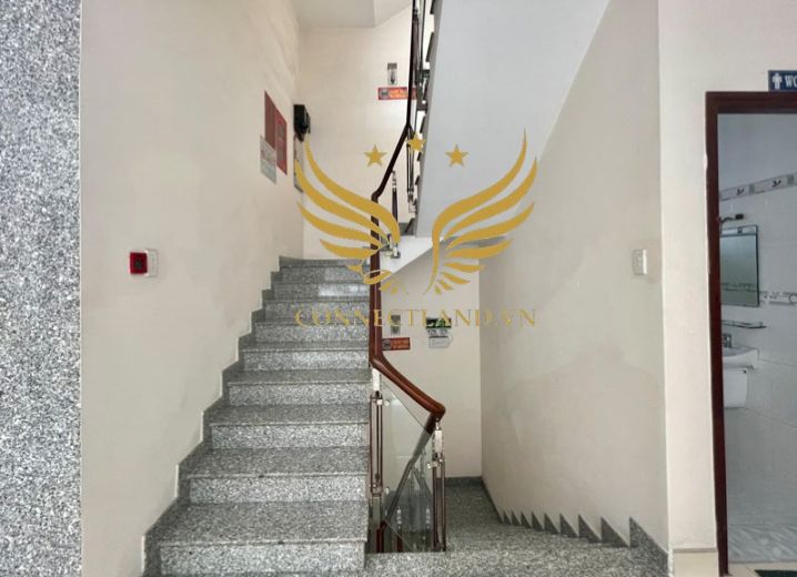Cho Thuê Tòa Nhà 6-6A đường D52 Phường 12 Quận Tân Bình