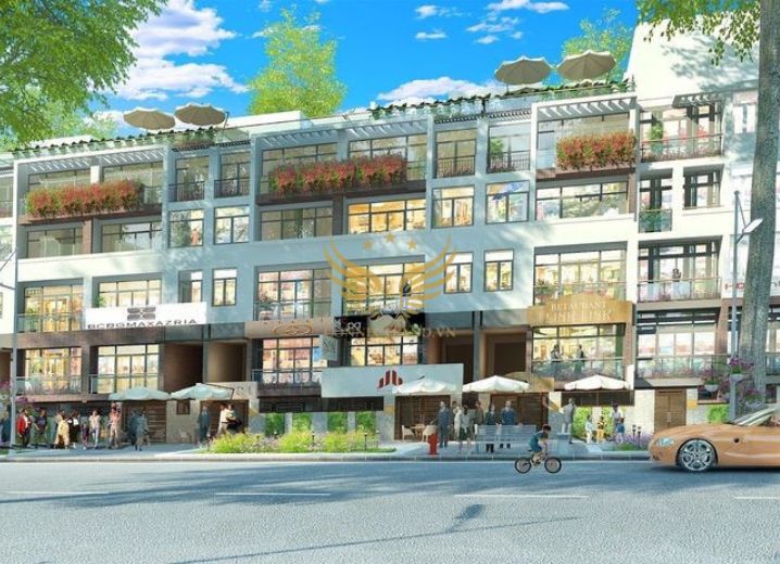 Dự Án Khu Dân Cư Trương Đình Hội 3 Phường 16 Quận 8