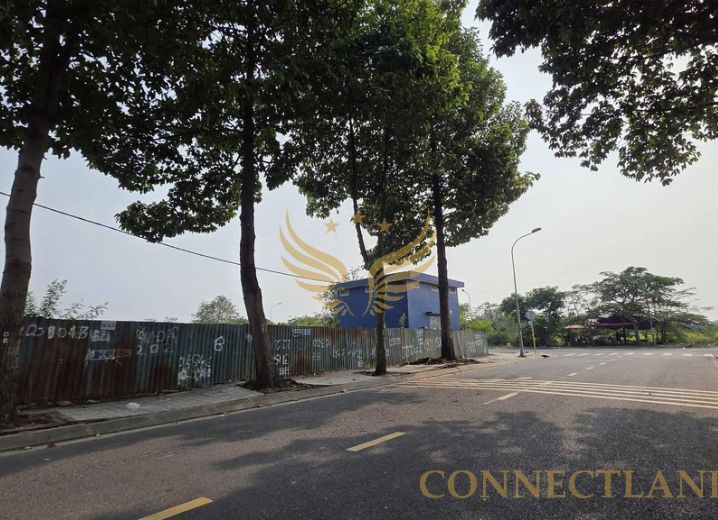 Dự Án Bệnh Viện Đa Khoa Quốc Tế Cát Lái Phường Cát Lái Quận 2