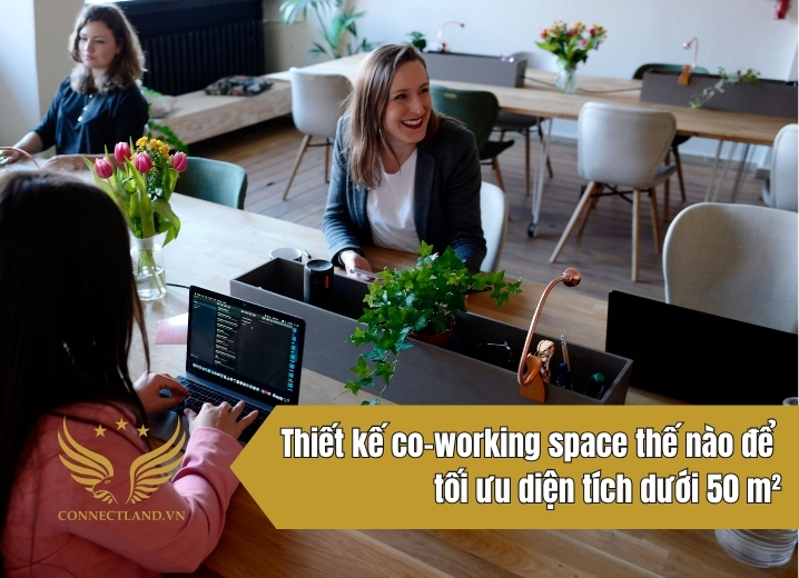 Thiết kế co-working space thế nào để tối ưu diện tích dưới 50 m²