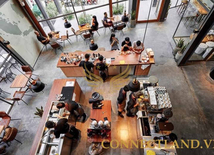 Cho Thuê Tòa Nhà 19B Phạm Ngọc Thạch Phường 1 Quận 3